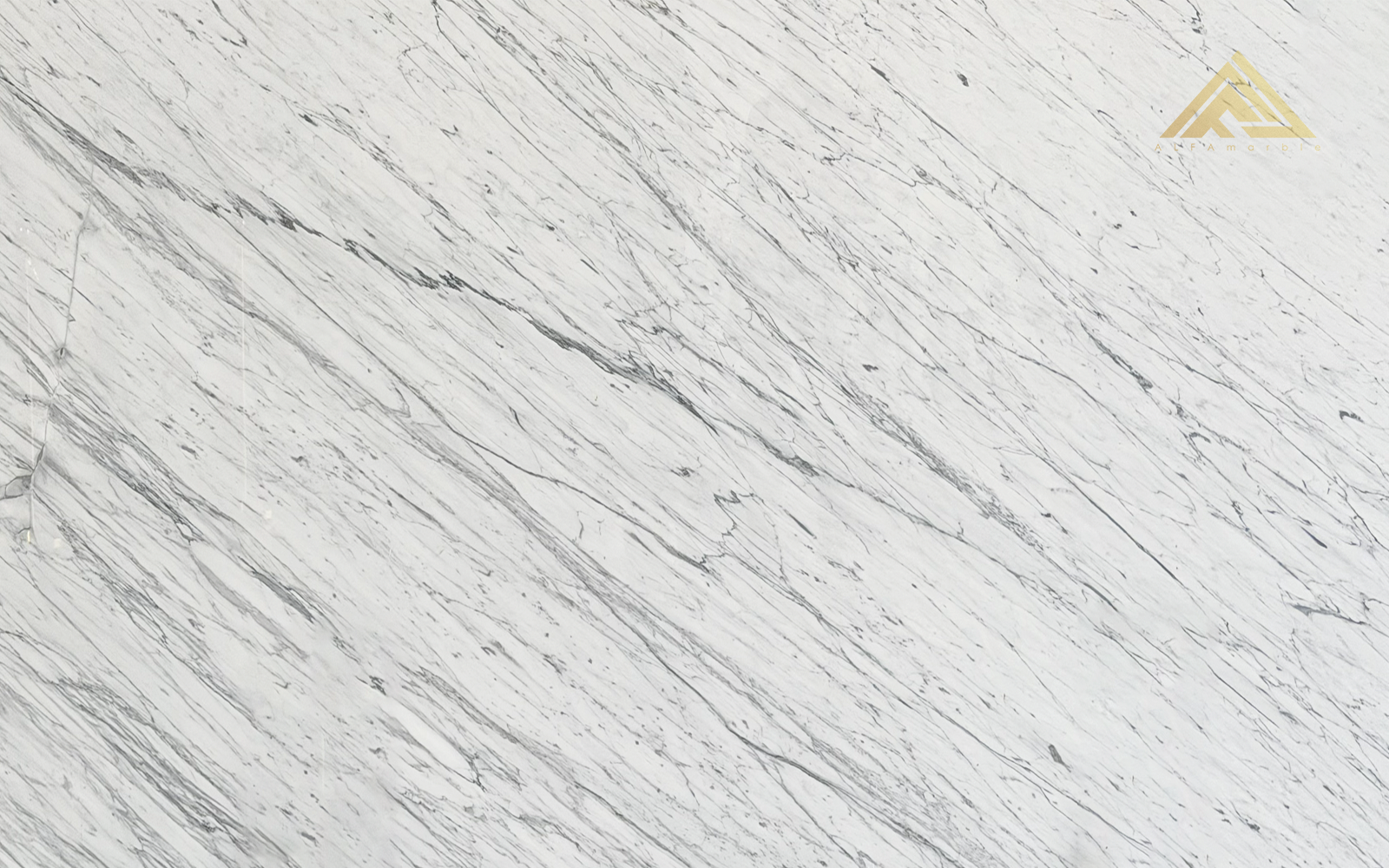 رخام سيتواريو طبيعي , إيطاليا